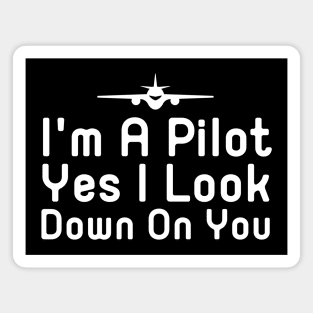 Airline Pilot Magnet